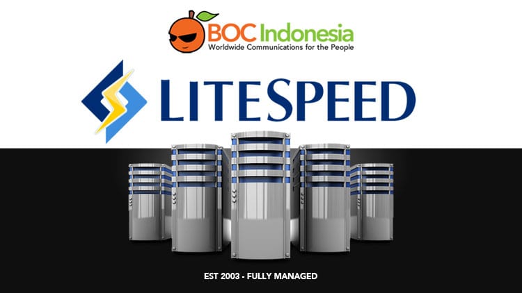 Hosting LiteSpeed Indonesia
